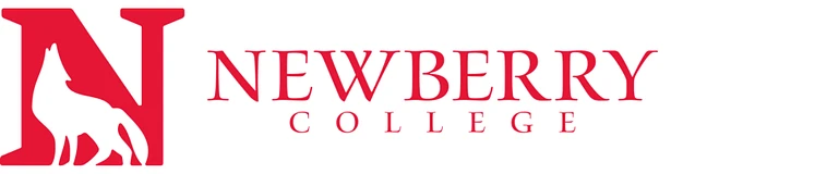 The Newberry Family Connection Logo